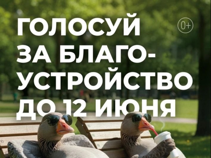 Старт Всероссийского рейтингового голосования по выбору территорий для благоустройства в рамках федерального проекта «Формирование комфортной городской среды».