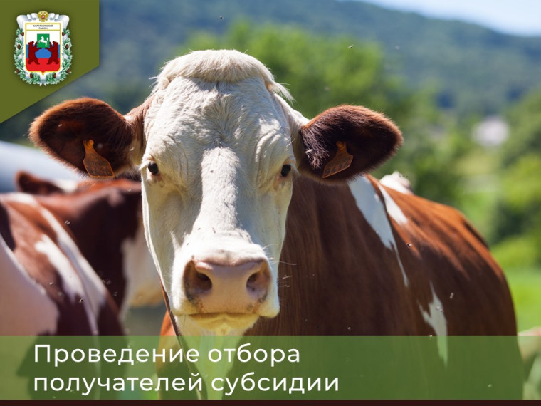 Объявление о проведении отбора получателей субсидий сельскохозяйственным товаропроизводителям Каргасокского района в части поддержки малых форм хозяйствования.