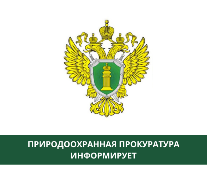 По искам Томской межрайонной природоохранной прокуратуры с лесозаготовителей взыскано более 8,6 млн рублей ущерба, причиненного объектам животного мира.