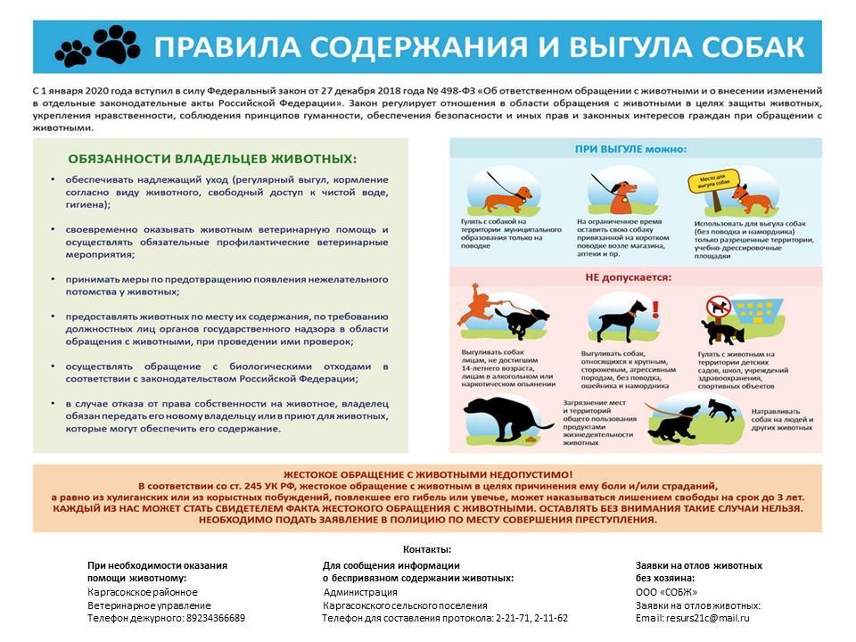 Владельцам собак!.