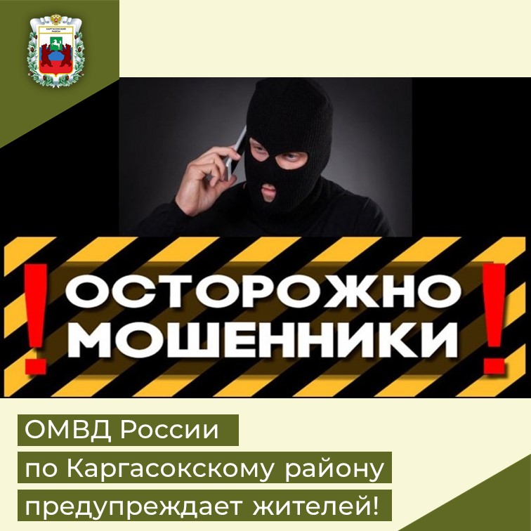 В ОМВД России по Каргасокскому району возбуждено уголовное дело по статье «Мошенничество», совершенное с использованием поддельного сайта..