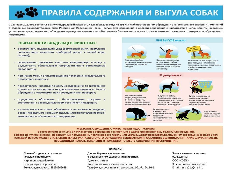 Владельцам собак.