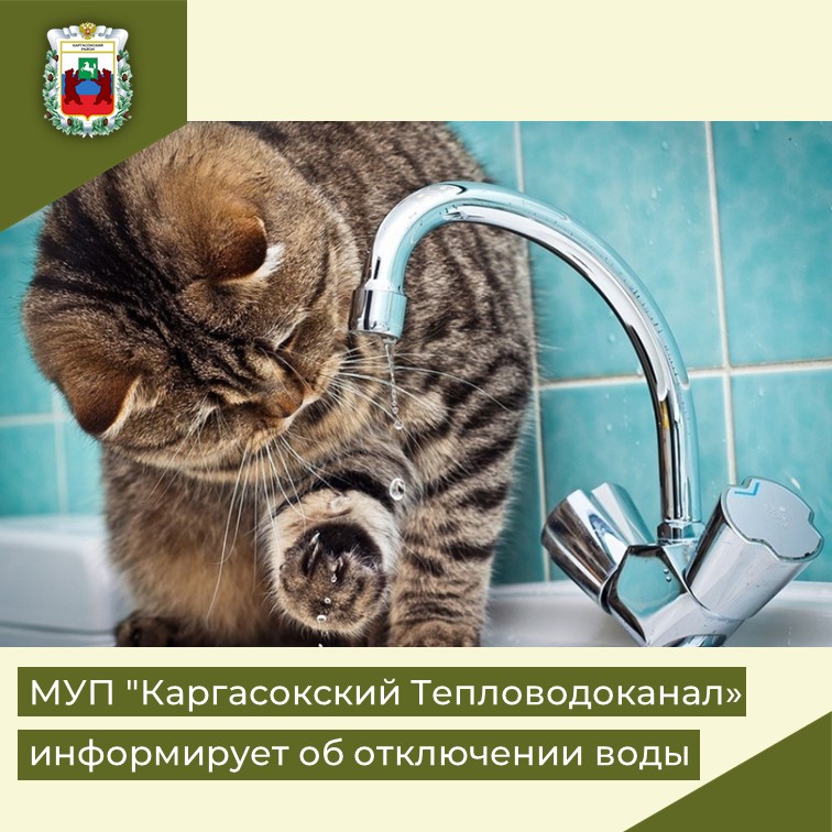МУП ТВК срочное объявление!.