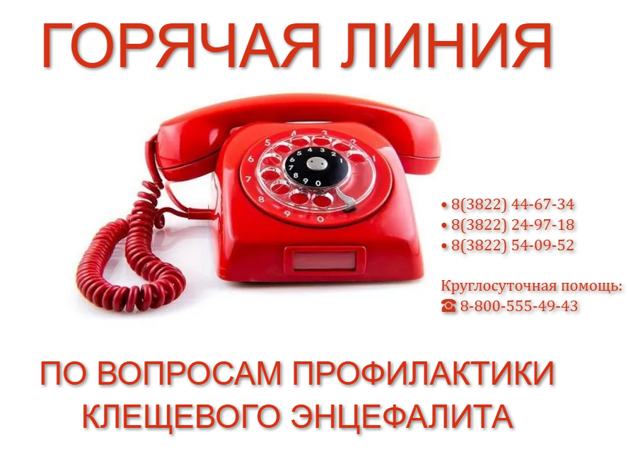 Осторожно, клещи! Открыта «горячая линия» по профилактике инфекций.