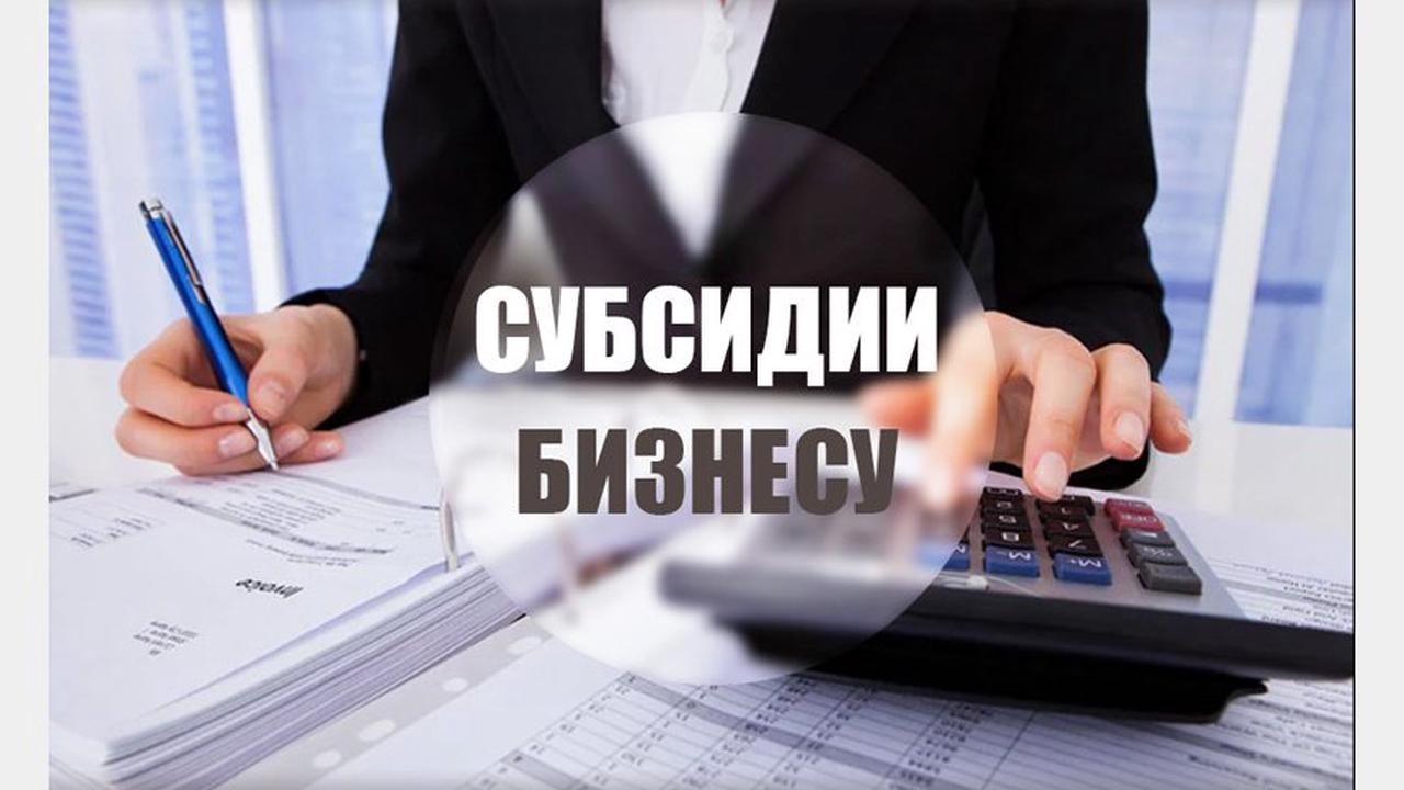 ПРЕДОСТАВЛЕНИЕ СУБСИДИИ ЮРИДИЧЕСКИМ ЛИЦАМ И ИНДИВИДУАЛЬНЫМ ПРЕДПРИНИМАТЕЛЯМ.